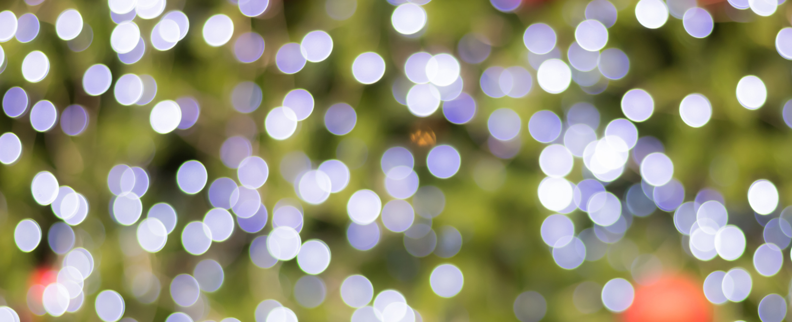 blur of Chrismas tree lights